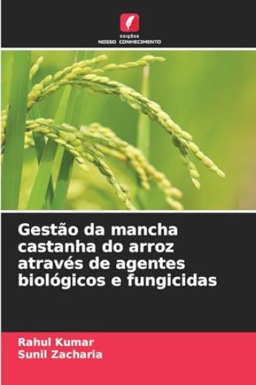 Gestão da mancha castanha do arroz através de agentes biológicos e fungicidas