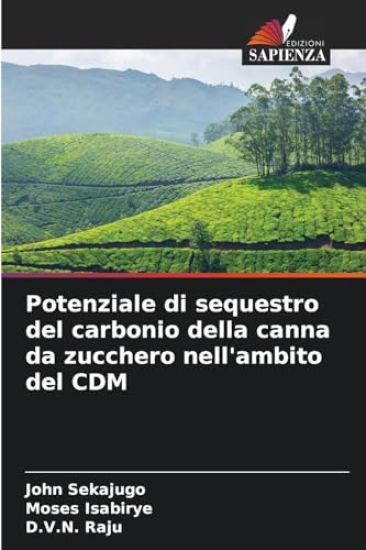 Potenziale di sequestro del carbonio della canna da zucchero nell'ambito del CDM