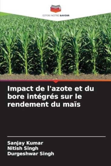 Impact de l'azote et du bore intégrés sur le rendement du maïs