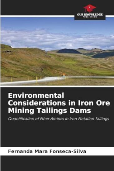Environmental Considerations in Iron Ore Mining Tailings Dams