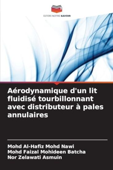 Aérodynamique d'un lit fluidisé tourbillonnant avec distributeur à pales annulaires