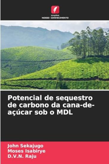 Potencial de sequestro de carbono da cana-de-açúcar sob o MDL