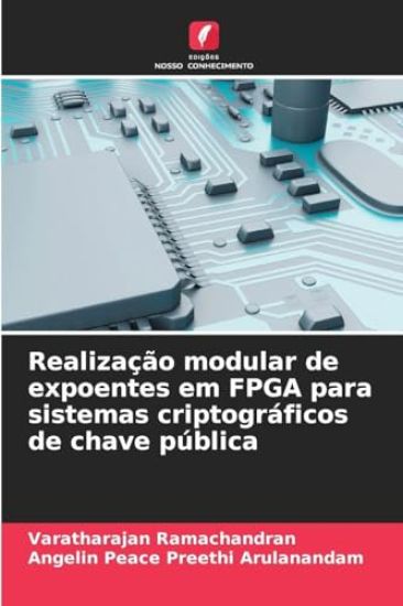 Realização modular de expoentes em FPGA para sistemas criptográficos de chave pública