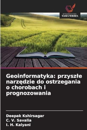 Geoinformatyka