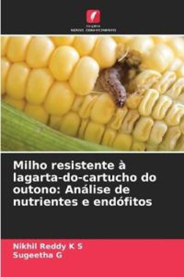 Milho resistente à lagarta-do-cartucho do outono