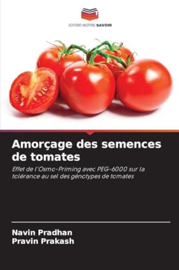 Amorçage des semences de tomates