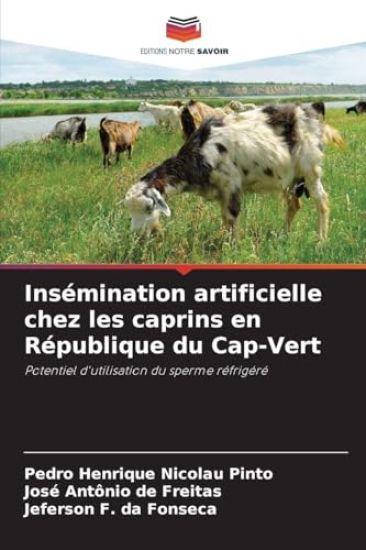 Insémination artificielle chez les caprins en République du Cap-Vert