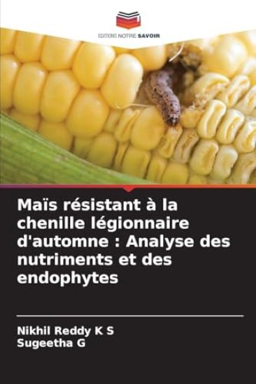 Maïs résistant à la chenille légionnaire d'automne