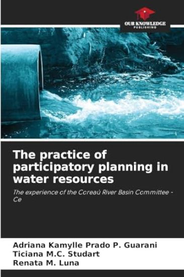 The practice of participatory planning in water resources