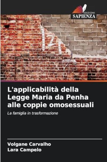 L'applicabilità della Legge Maria da Penha alle coppie omosessuali