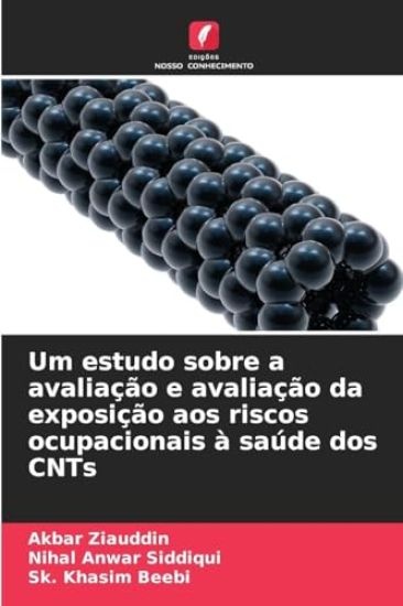 Um estudo sobre a avaliação e avaliação da exposição aos riscos ocupacionais à saúde dos CNTs