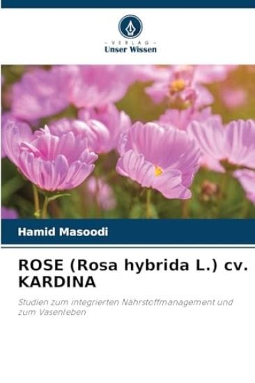 ROSE (Rosa hybrida L.) cv. KARDINA