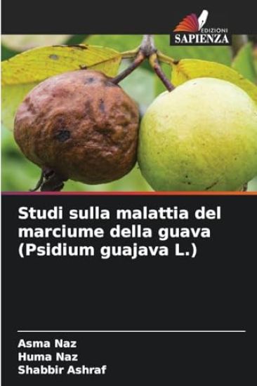 Studi sulla malattia del marciume della guava (Psidium guajava L.)
