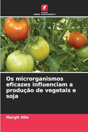 Os microrganismos eficazes influenciam a produção de vegetais e soja