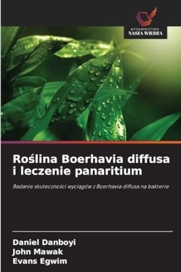 Roslina Boerhavia diffusa i leczenie panaritium