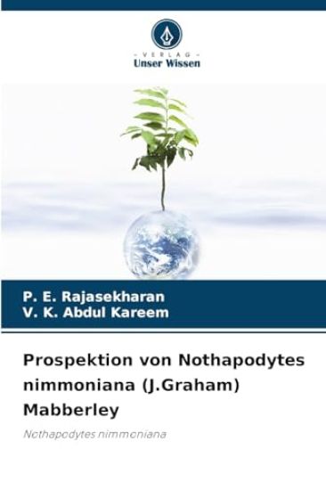 Prospektion von Nothapodytes nimmoniana (J.Graham) Mabberley