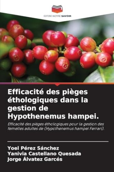 Efficacité des pièges éthologiques dans la gestion de Hypothenemus hampei.