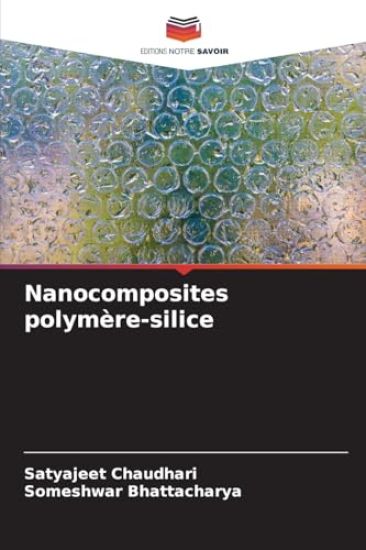 Nanocomposites polymère-silice