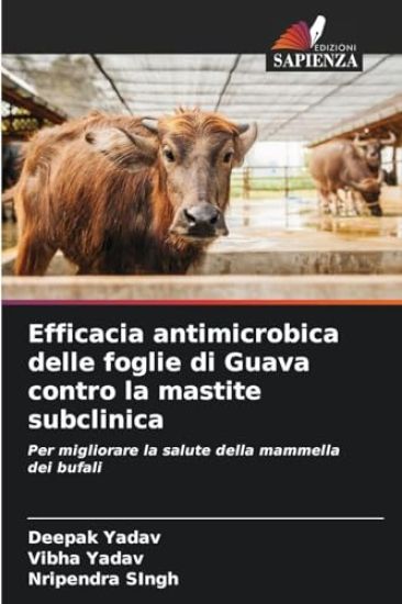 Efficacia antimicrobica delle foglie di Guava contro la mastite subclinica
