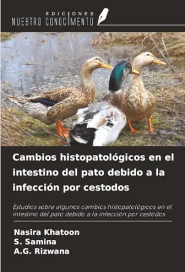 Cambios histopatológicos en el intestino del pato debido a la infección por cestodos
