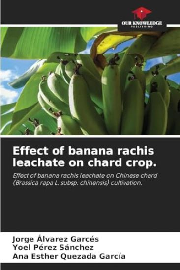 Effect of banana rachis leachate on chard crop.