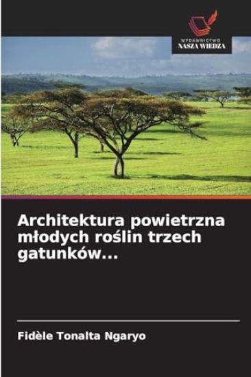 Architektura powietrzna m¿odych ro¿lin trzech gatunków...