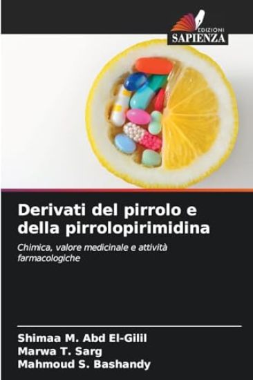 Derivati del pirrolo e della pirrolopirimidina