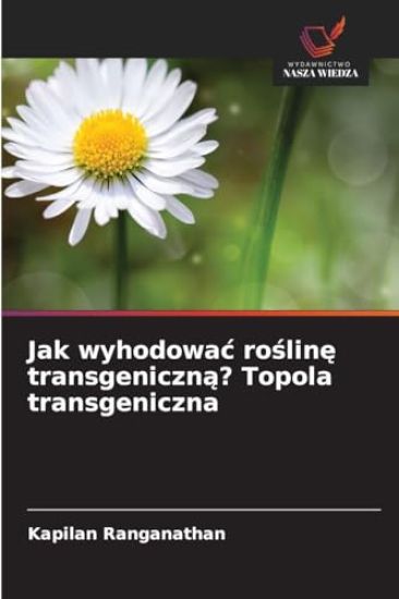 Jak wyhodowa¿ ro¿lin¿ transgeniczn¿? Topola transgeniczna