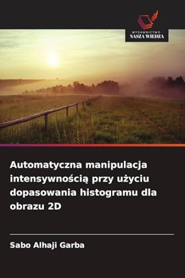Automatyczna manipulacja intensywnoscia przy uzyciu dopasowania histogramu dla obrazu 2D