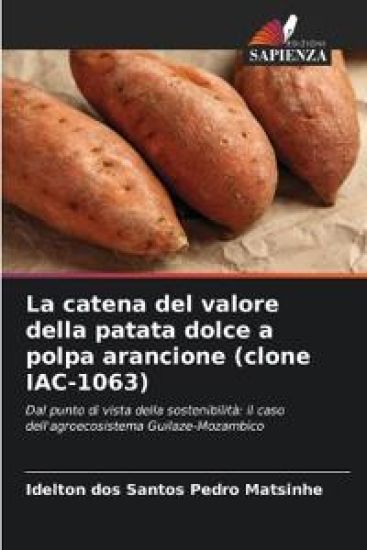 La catena del valore della patata dolce a polpa arancione (clone IAC-1063)