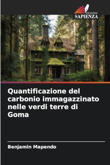 Quantificazione del carbonio immagazzinato nelle verdi terre di Goma