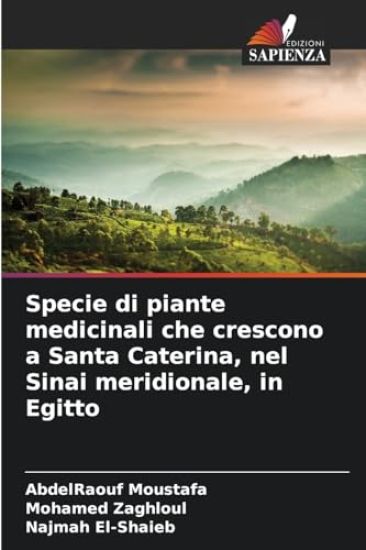 Specie di piante medicinali che crescono a Santa Caterina, nel Sinai meridionale, in Egitto