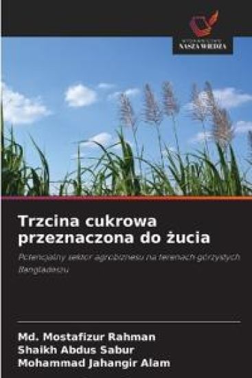 Trzcina cukrowa przeznaczona do ¿ucia