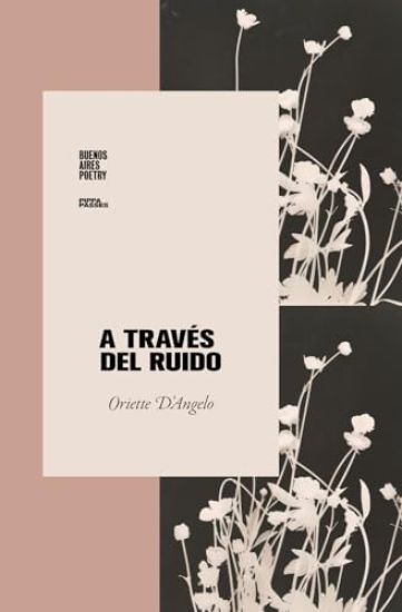 A través del ruido