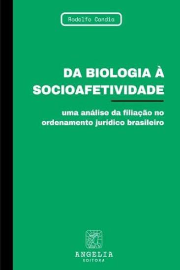 Da Biologia À Socioafetividade