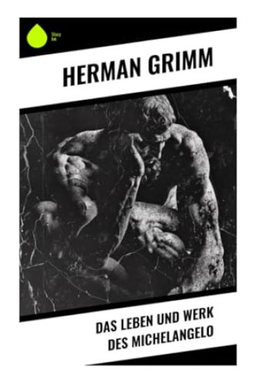 Das Leben und Werk des Michelangelo