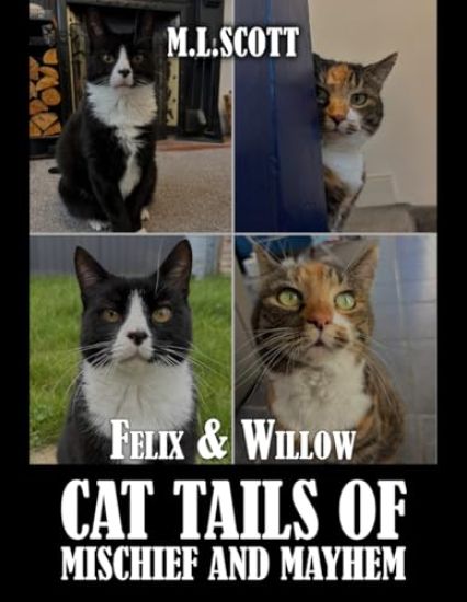 Felix & Willow cat tails of mischief and mayhem