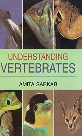 Understanding  Vertebrates