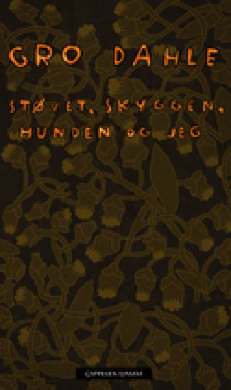 Støvet, skyggen, hunden og jeg