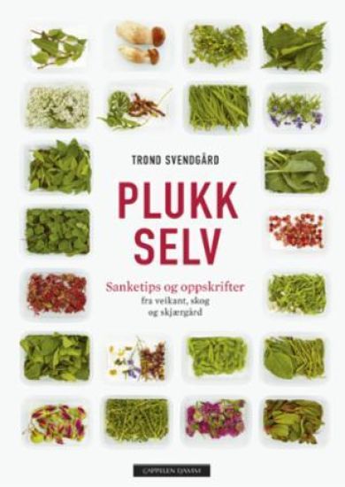 Plukk selv; sanketips og oppskrifter