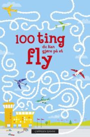 100 ting du kan gjøre på et fly