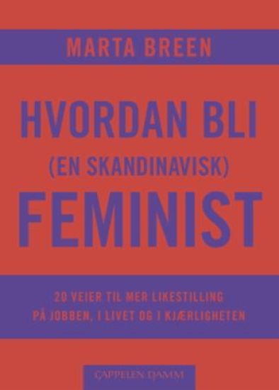 Hvordan bli (en skandinavisk) feminist