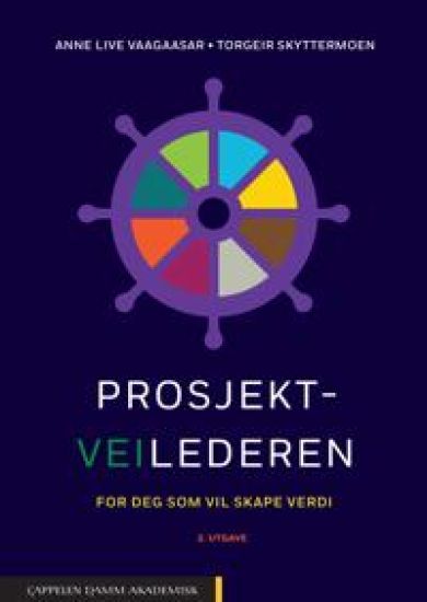 Prosjektveilederen