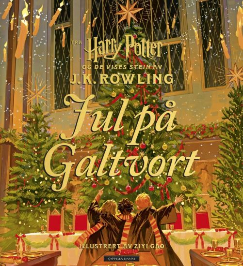 Harry Potter; Jul på Galtvort