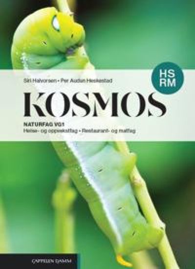 Kosmos HS, RM