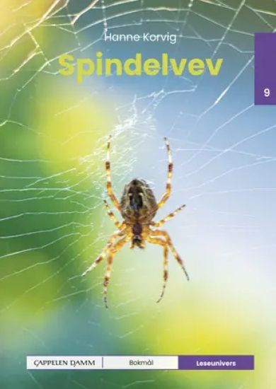 Spindelvev
