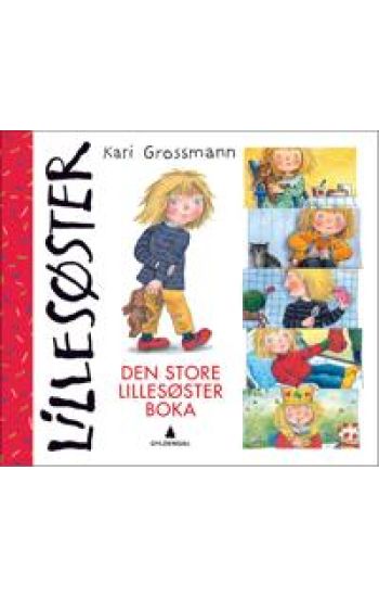 Den store Lillesøsterboka