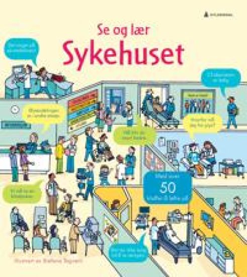 Sykehuset