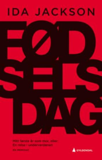 Fødselsdag; mitt første år som mor, eller En reise i underverdenen