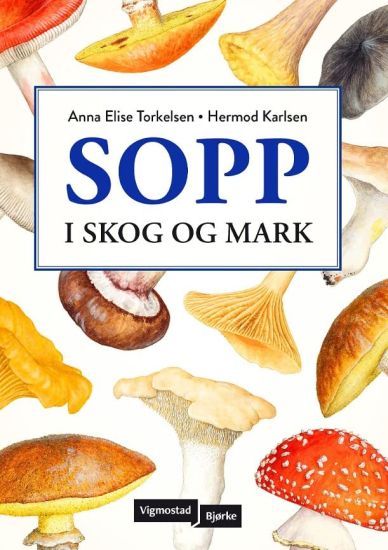 Sopp; i skog og mark